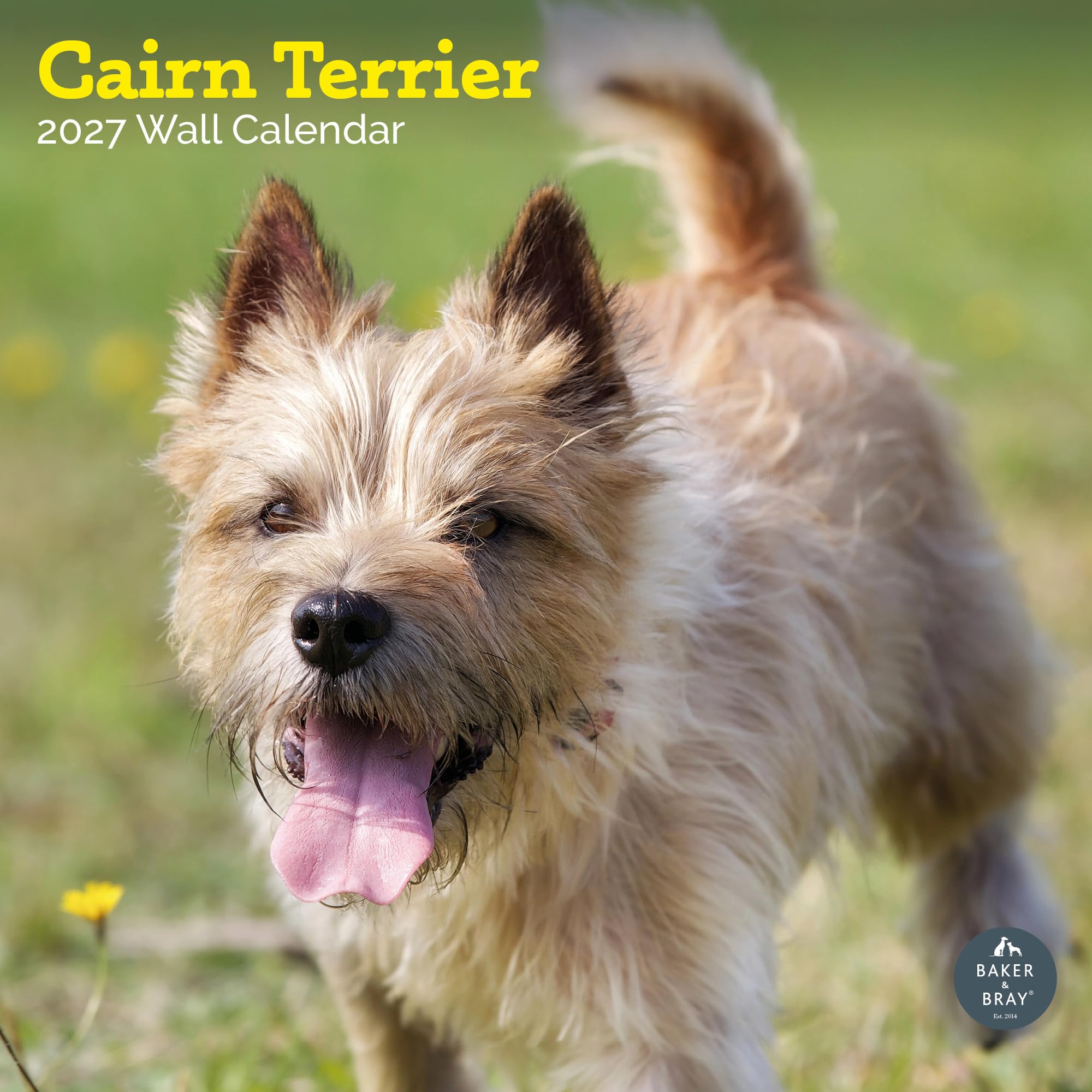Baker and Bray Cairn Terrier Calendar 2027, Large