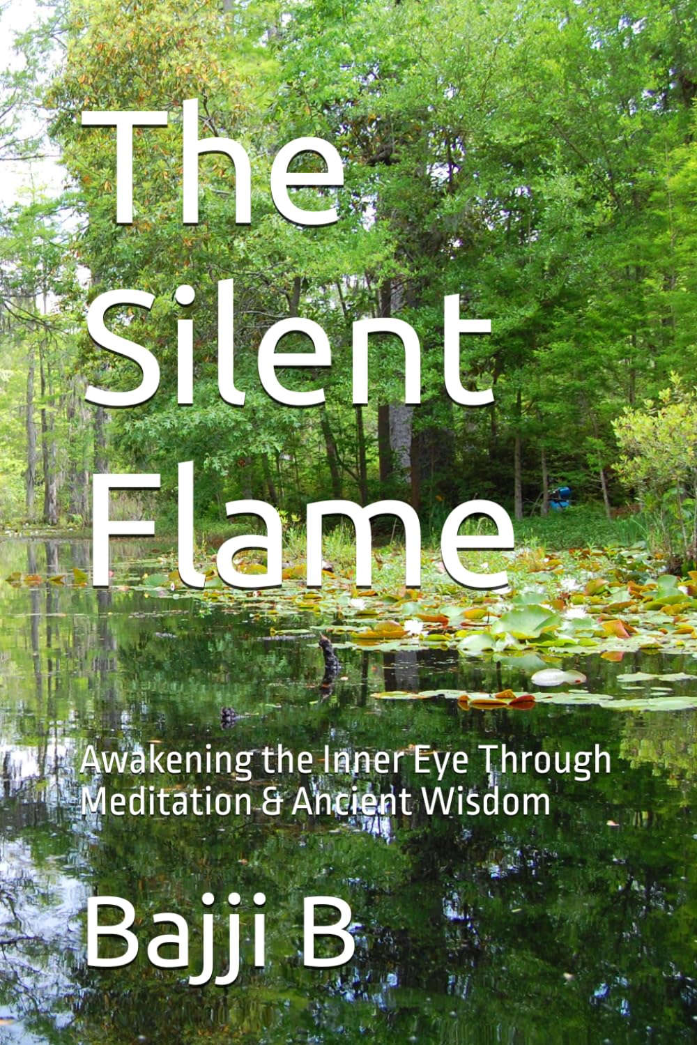 The Silent Flame: Awakening the Inner Eye Through Meditation & Ancient Wisdom