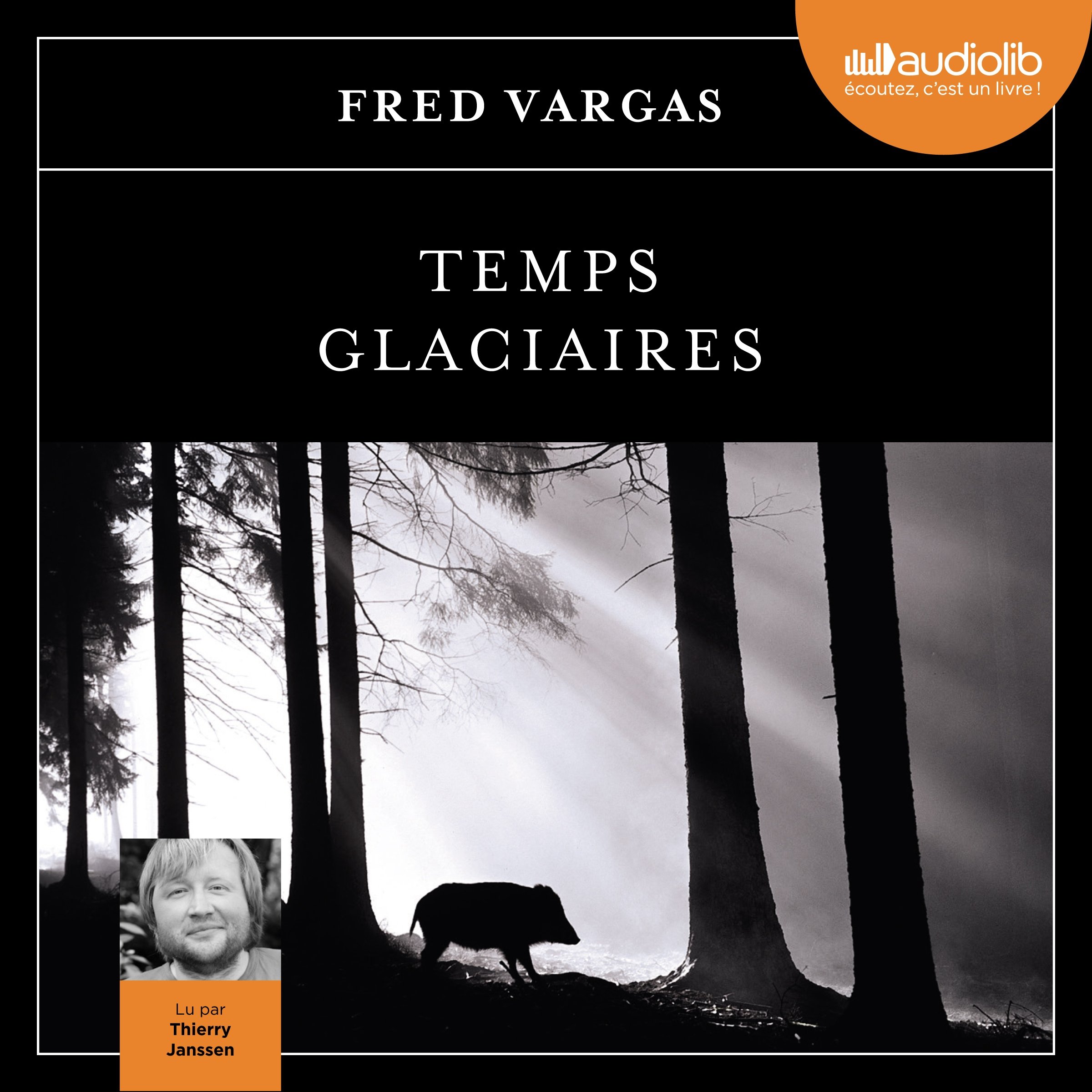 Cover art for Temps glaciaires