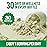Force Factor Smarter Greens Daily Wellness Powder 2-Pack to Support Energy, Immunity & Digestion, Superfood Greens Powder with Vitamins, Minerals & Probiotics, Unflavored, 60 Servings