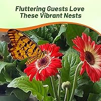 Vista 5 de Outsidepride Bicolor Mix Gerbera Seeds - 10 Pcs Perennial, Compact & Low Maintenance, Flower Seeds for Planting w/Vibrant Mixed Blooms, Ideal for