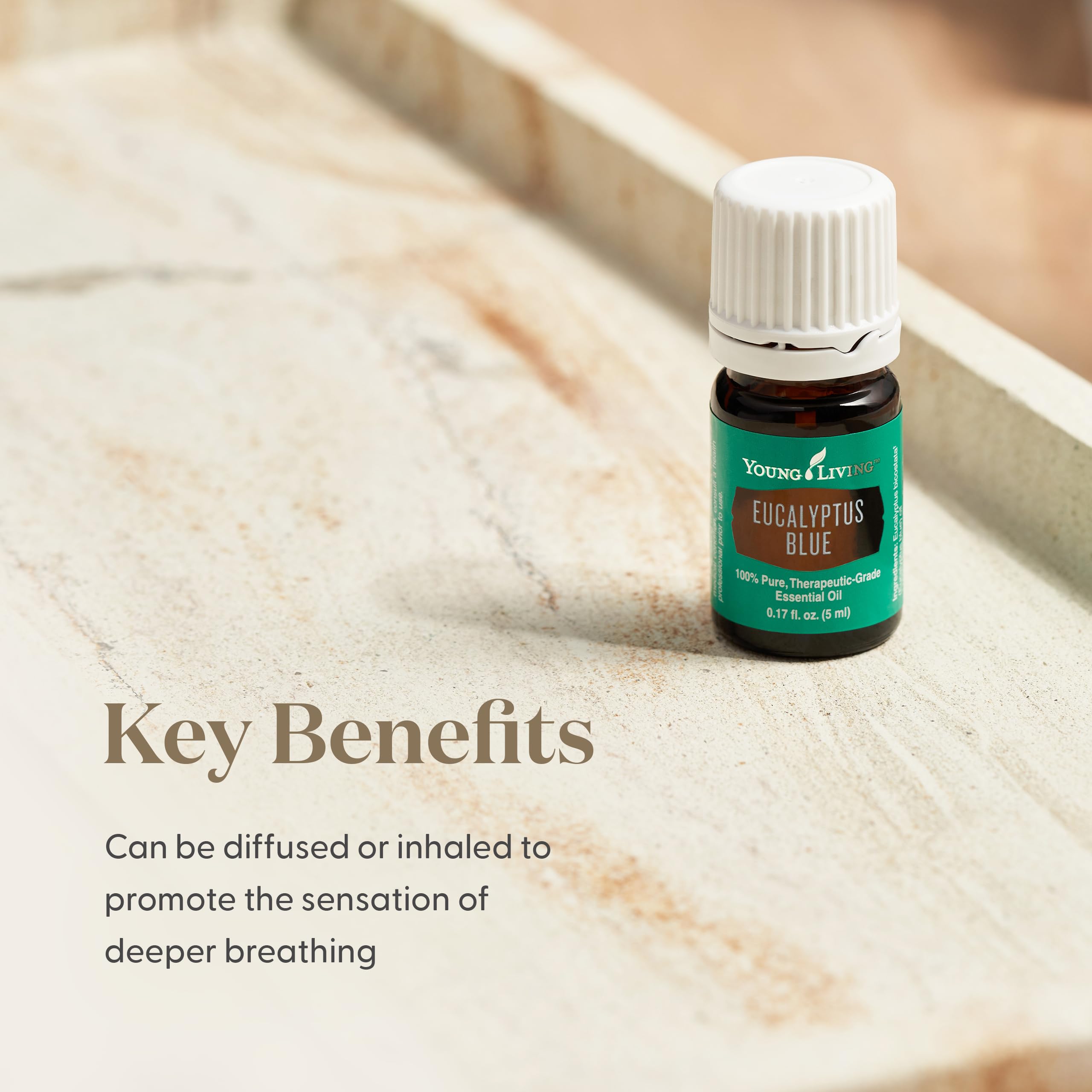 Amazon.com: Young Living Eucalyptus Blue Essential Oil | 5 ml