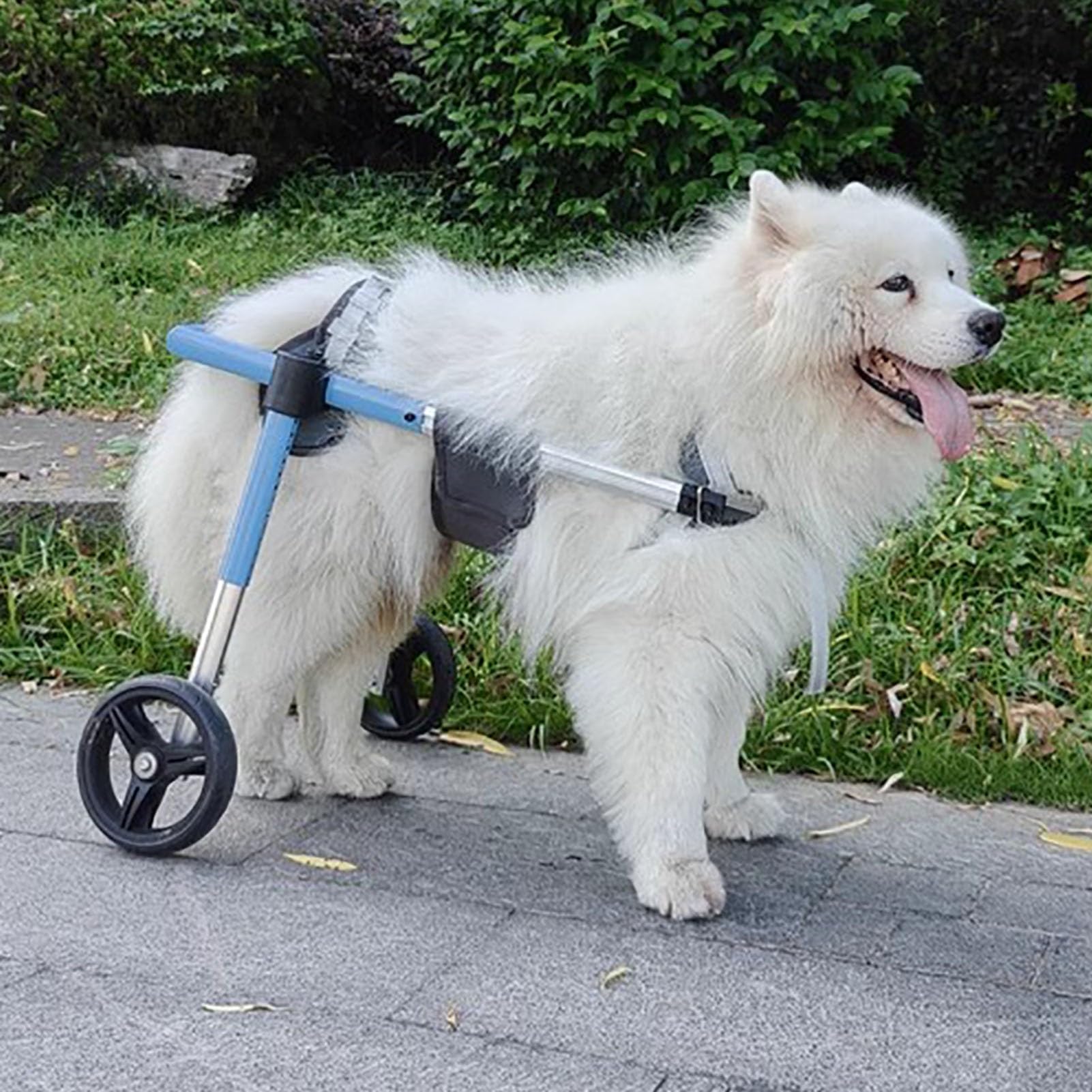 Elitix Rear Leg Dog Wheelchair 2 Wheel, Xxs to Xl Dog Leg Brace for Torn Acl & Ccl Injury Arthritis, Adjustable Animal Mobility Aid Walk Tools(Size XS)