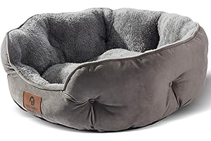 Washable Dog Bed: Optimal Comfort and Hygiene for Small Pups