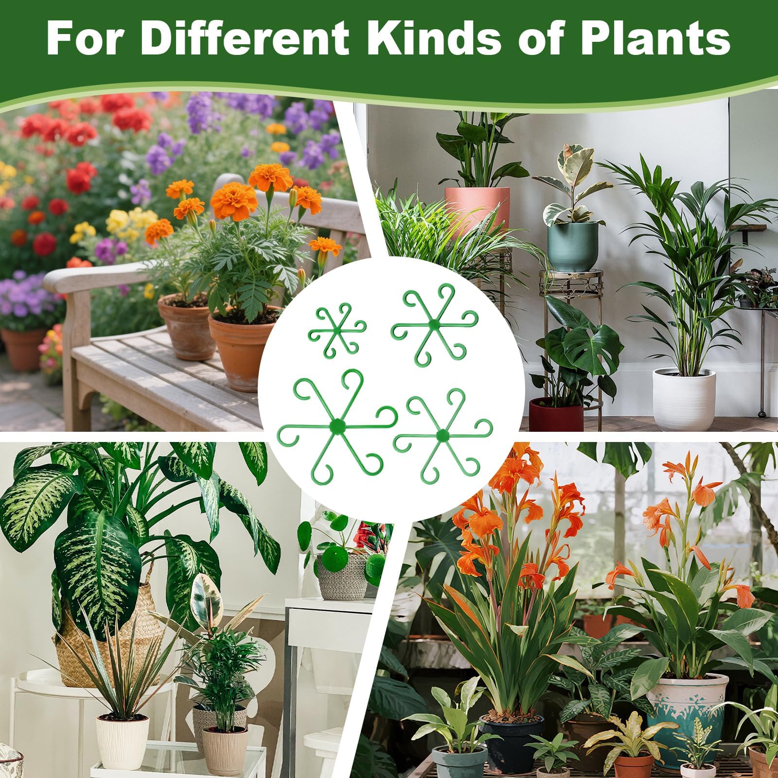 Plant Stem Supports - Stabilize Climbing Plants -6 Plant Stem Supports - Stabilize Climbing Plants -6