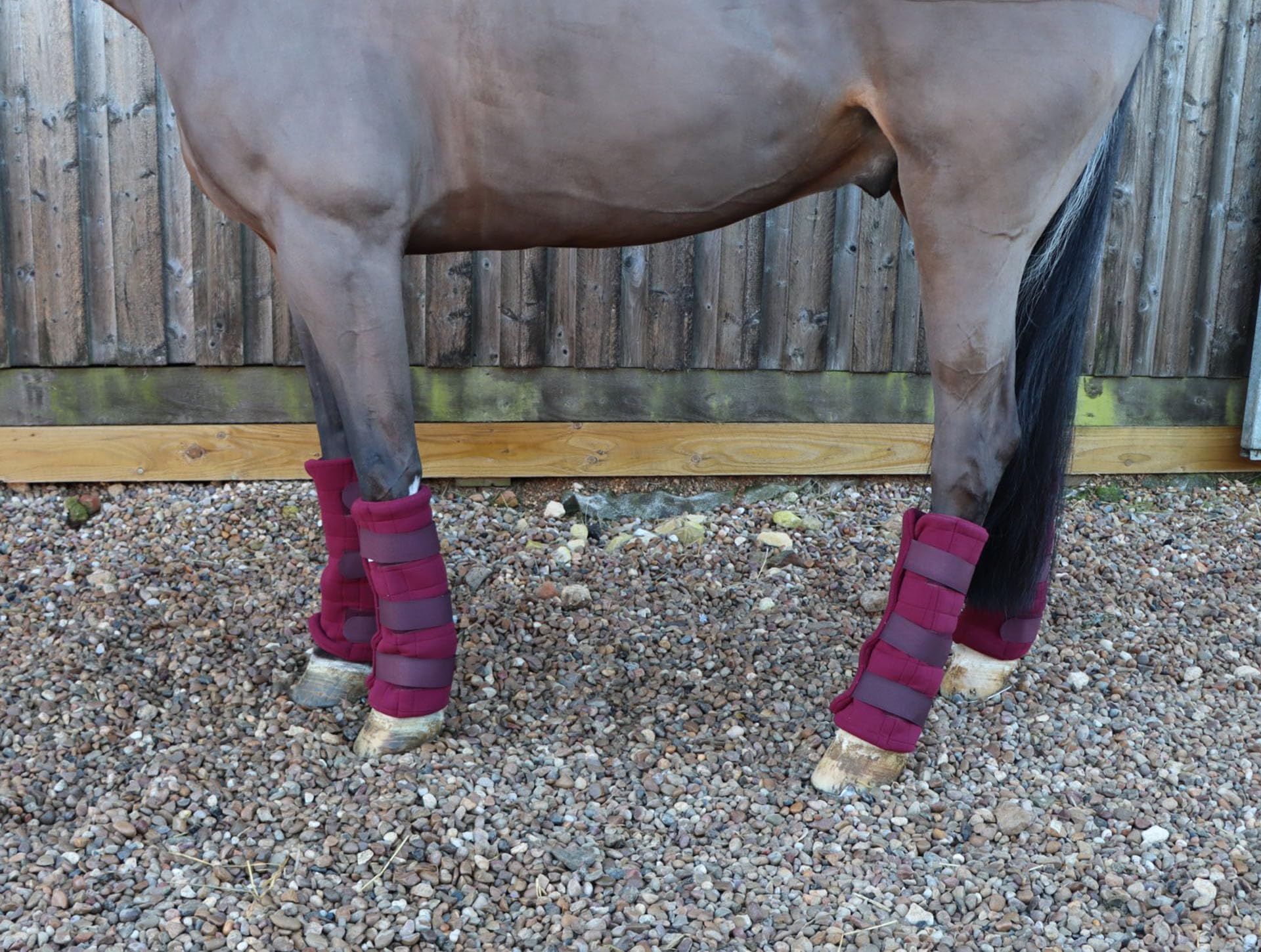 Ruggles Wicking Leg Wraps For Horse and Pony | Ideal for Travel Stable or after Bathing/Exercise in Colder Weather (Burgundy, Pony)