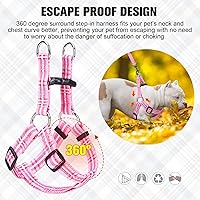 Vista 51 de BEAUTYZOO No Pull Dog Harness and Leash Set - Adjustable Step-in Puppy Harness for Small Medium Large Dogs, Escape Proof Soft Nylon Vest with Double