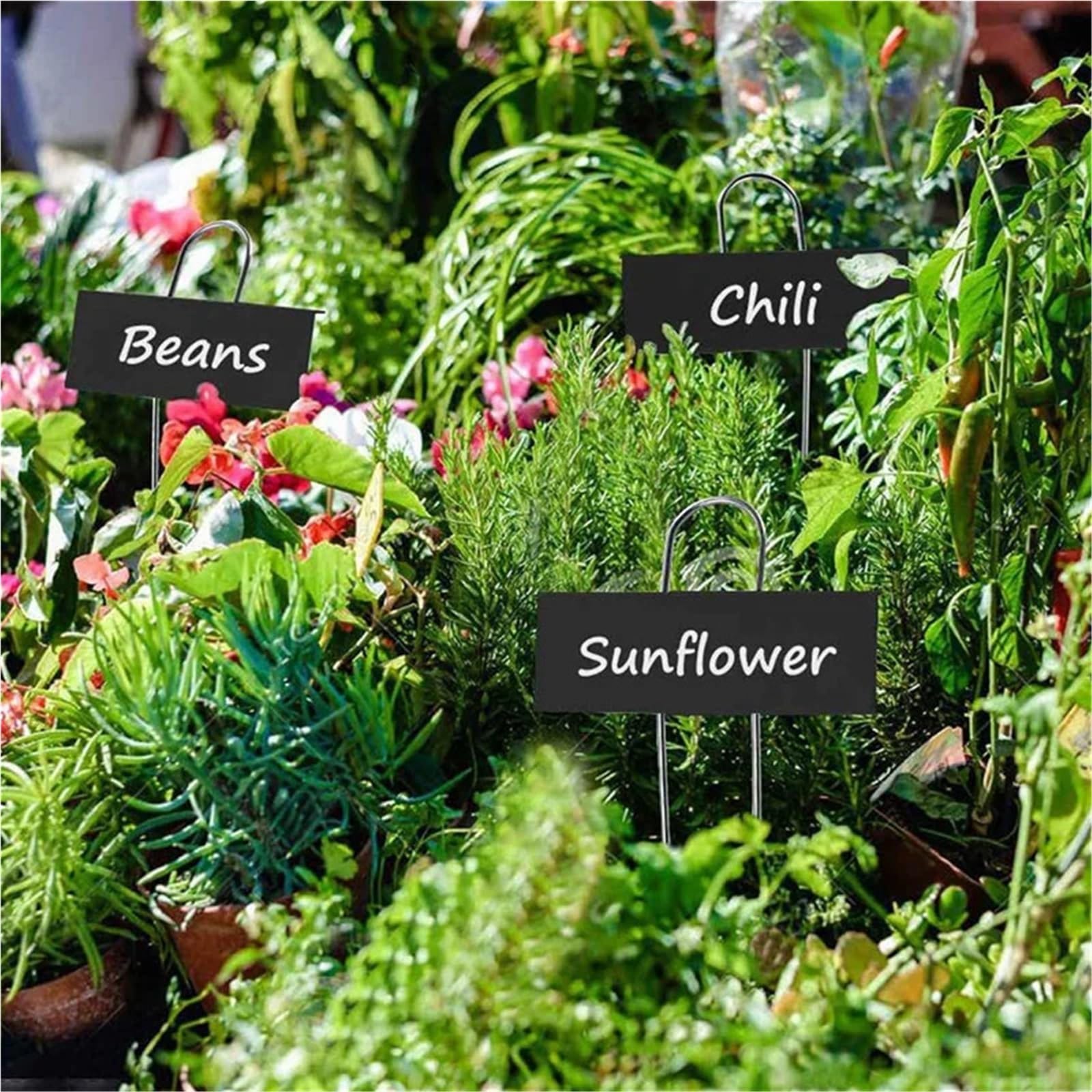 Pflanzenschilder 150 Stück Pflanzenetiketten aus Metall, wetterfeste Gartenmarkierungen, wiederverwendbar, Etiketten for Kinderzimmer, for Gemüse, Kräuter, Blumen, Gewächshaus, Schwarz