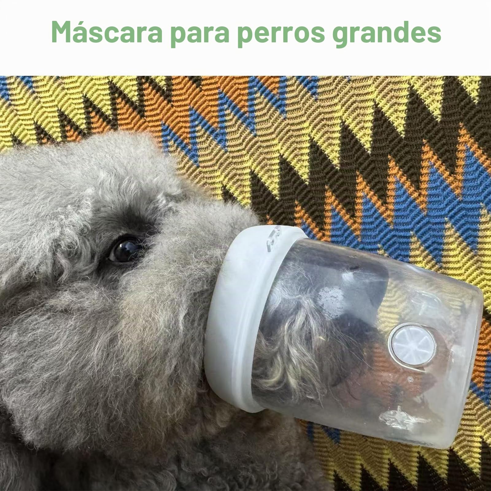 Nebulizador para Mascotas Grandes, nebulizador para Perros y mascarilla de inhalación para Perros Grandes, silencioso y Ligero(L).