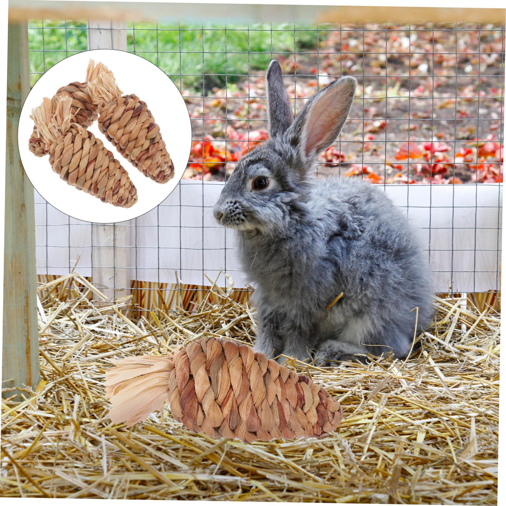 Milisten Hamsterspielzeug Karotte 3 Stück aus Gras für Kleine Haustiere