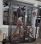 Review Image by Kristy Kristy