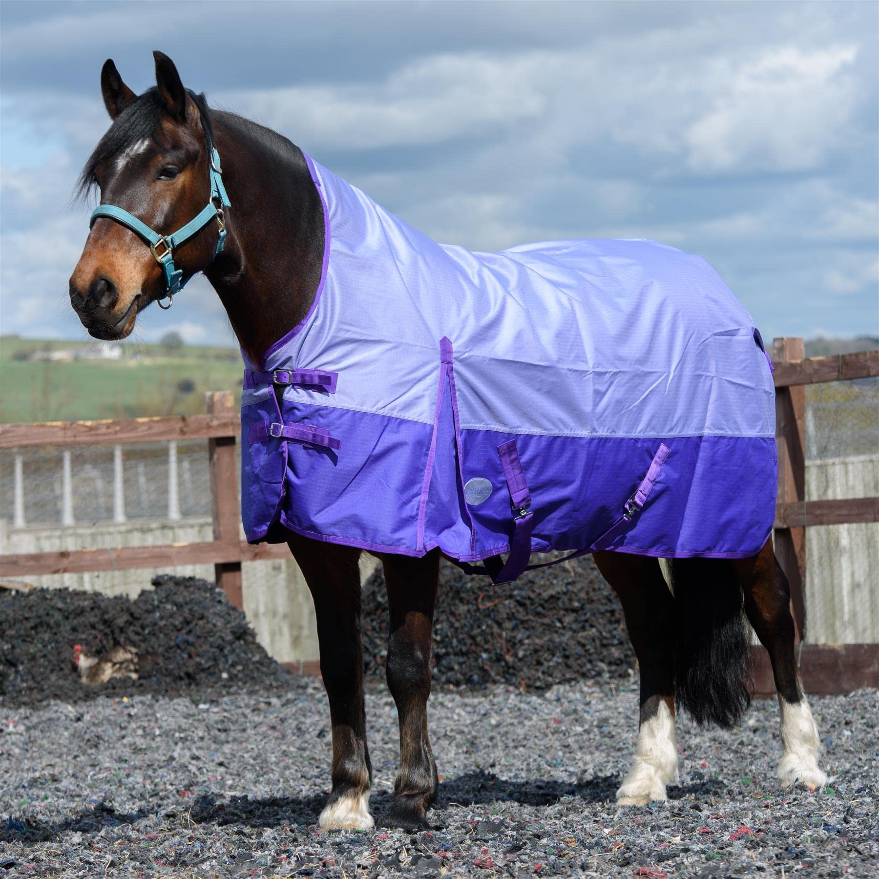 eQuitack 600 Denier Lite Horse Turnout Rug, 6’9” – Half Neck, Waterproof, Lightweight Turnout Rug for Horses 0g No Fill Turnout Rug, Adjustable Leg Straps, Lavender/Purple