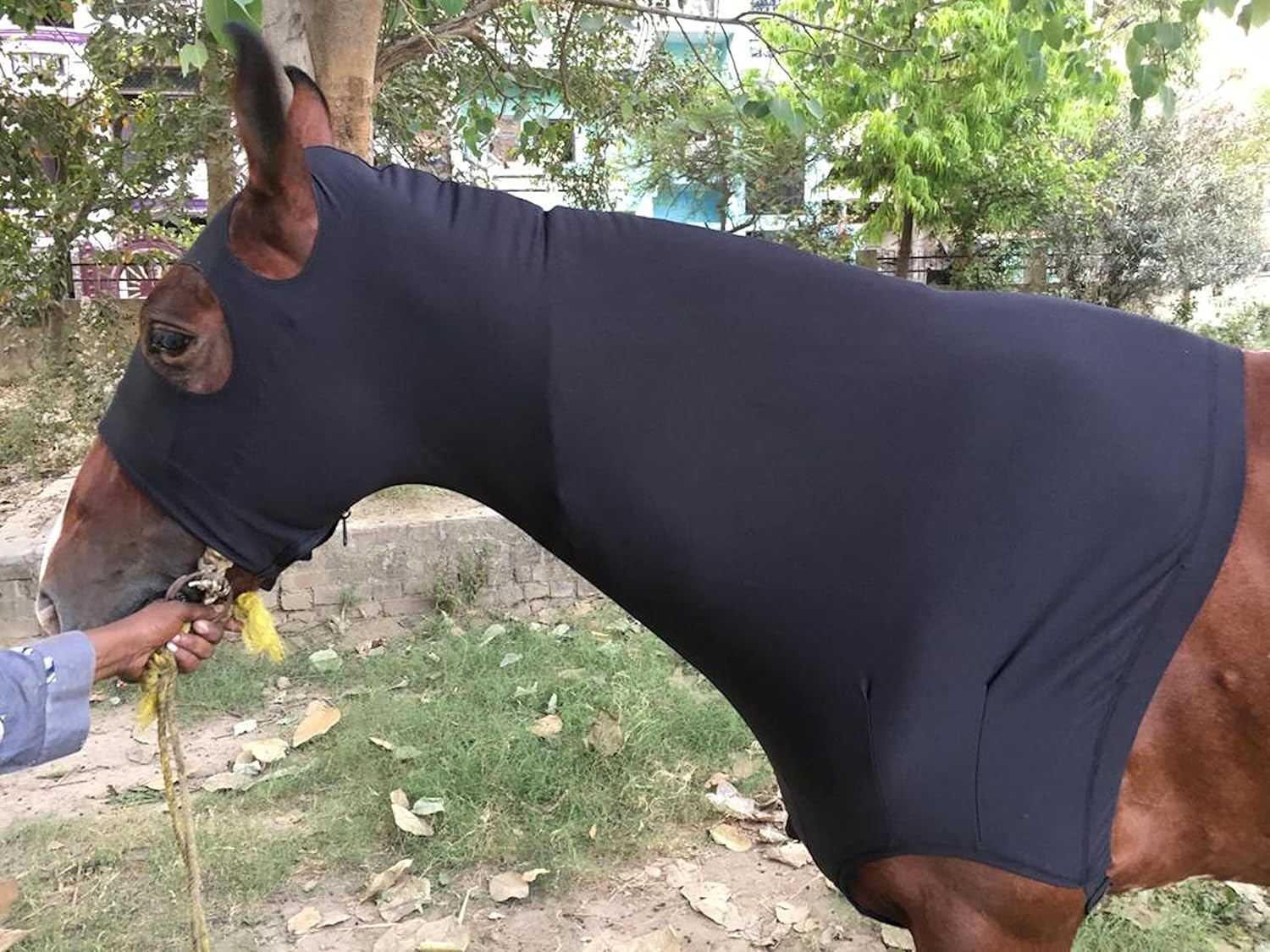 Majestic Ally Stretch Spandex Horse Hood with Zipper for Horses (Large, Black, 100% Heavy Spandex)