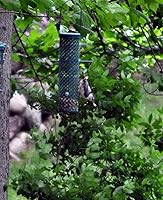 Vista 4 de C&S Berry Flavored Nuggets, 6 Pack