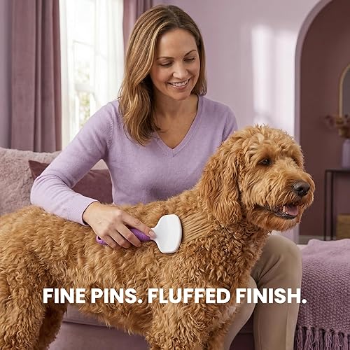 Miniatura 3 de Poodle Pet Slicker Brush – Para perros, gatos, conejos – Piel mate/suelta, nudos – Adecuado para garabatos/Goldendoodle aseo y trituración de pelo