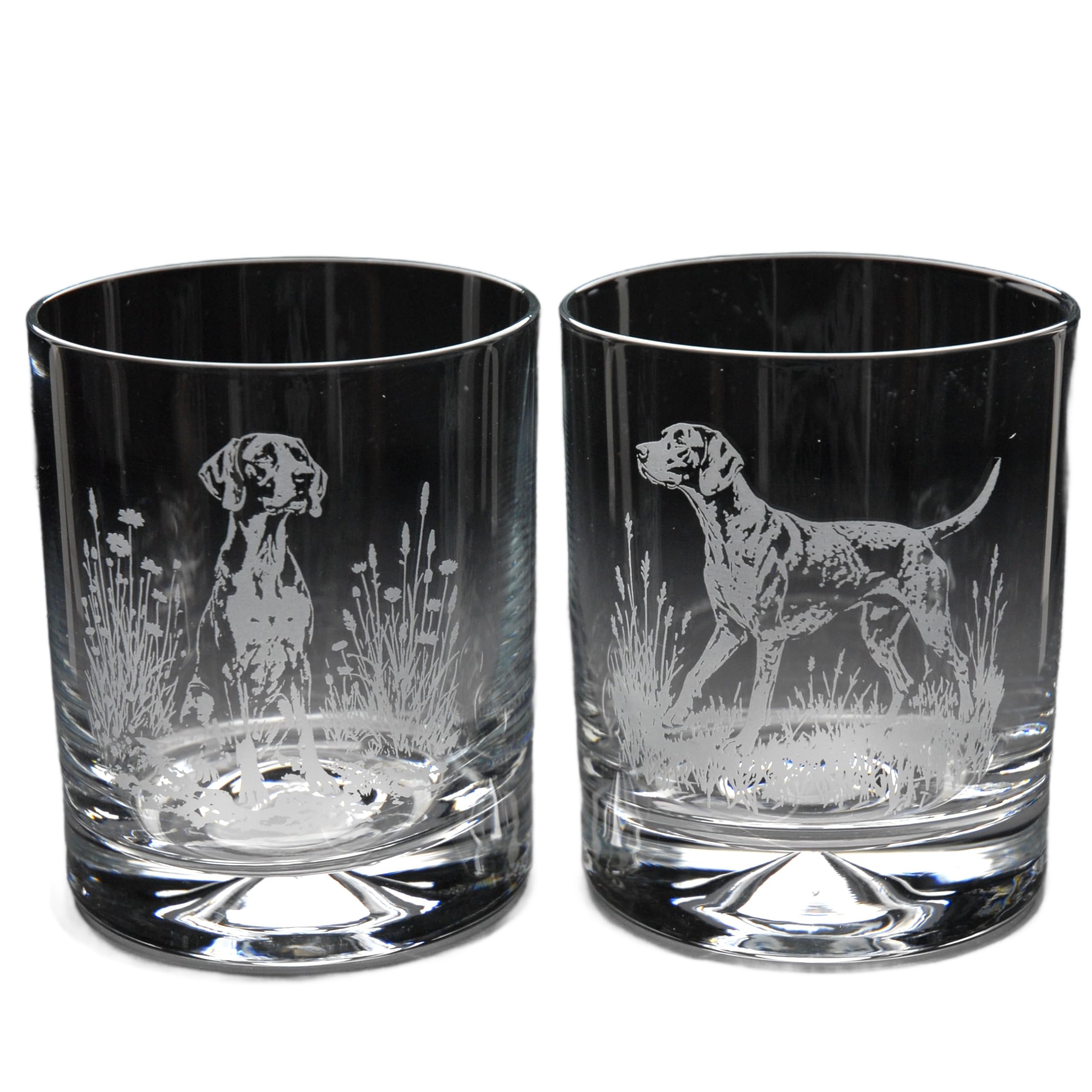 GLYPTIC Glass Art English Pointer Dog Placement Hand Etched/Engraved Whiskey Tumbler Glass — image 1