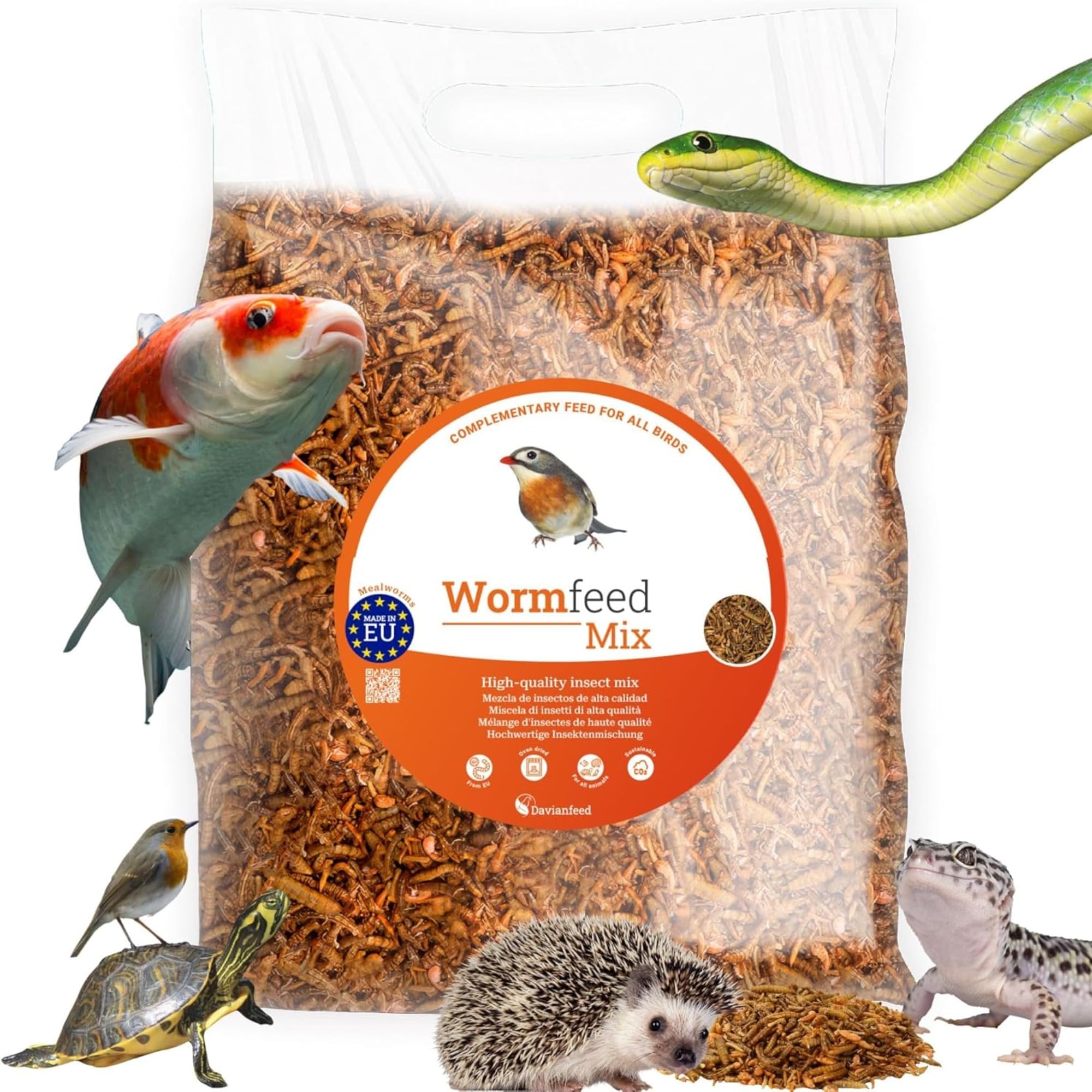 Wormfeed Mix - Mezcla Insectos Premium 1 kg - Larva de Tenebrio y Mosca para Aves, Reptiles, Roedores, Peces - Rico en Proteínas con Omega 3 y 6 - Criado en Europa - Davianfeed