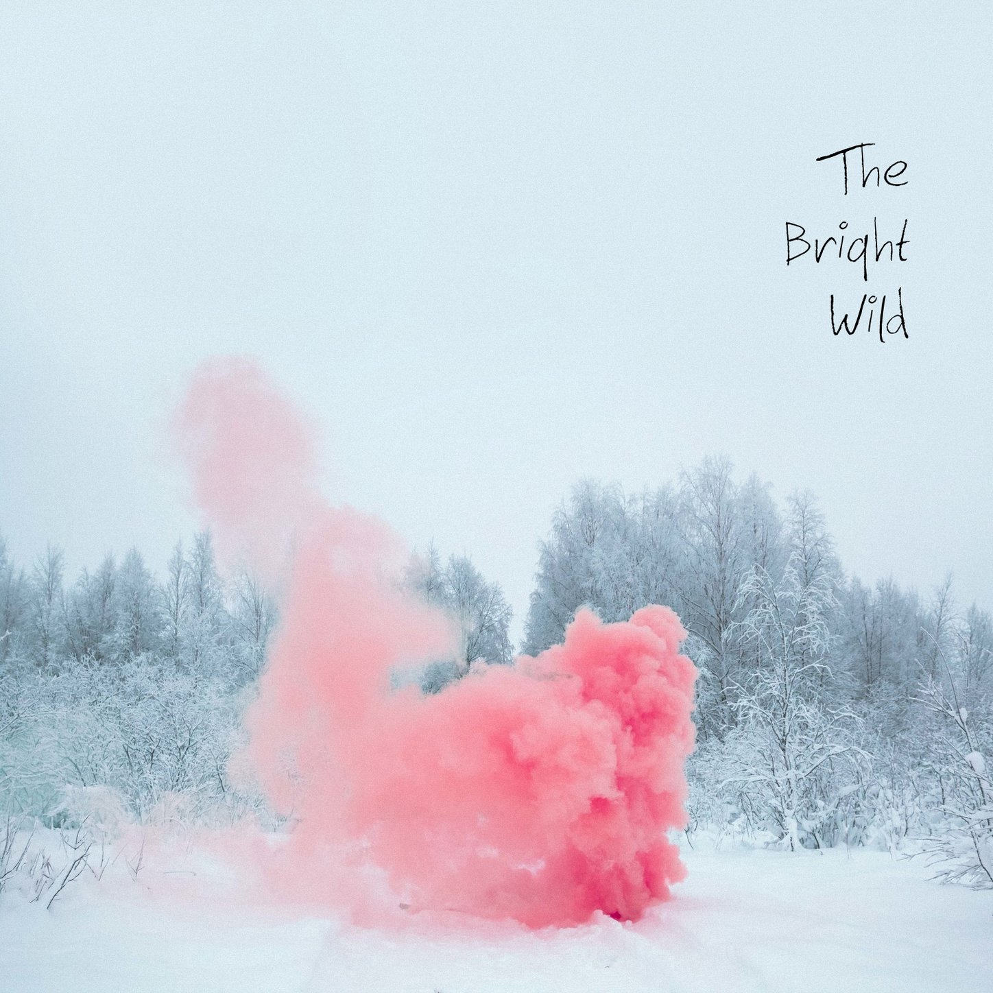 The Bright Wild