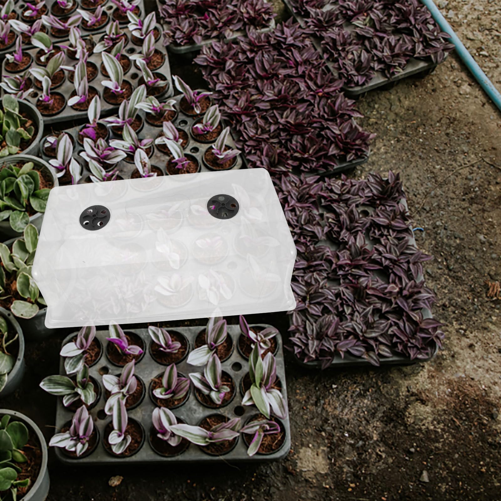 Abaodam Copertura Termica Funzione Mantenimento Temperatura per Piante in Plastica Traspirante per Mini Piante e Ortaggi per Giardinaggio Quotidiano