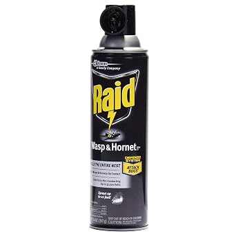 Raid Wasp and Hornet Killer Spray, 14 oz(pack of 3)