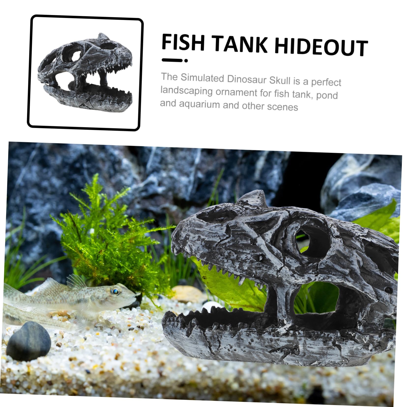 POPETPOP 2 Pièces Ramper Animal de Compagnie crâne esquiver décorations d'aquarium squelettes Decoration Aquarium Ornement d'aquarium de Reptiles cachette d'aquarium Ornement d'aquarium