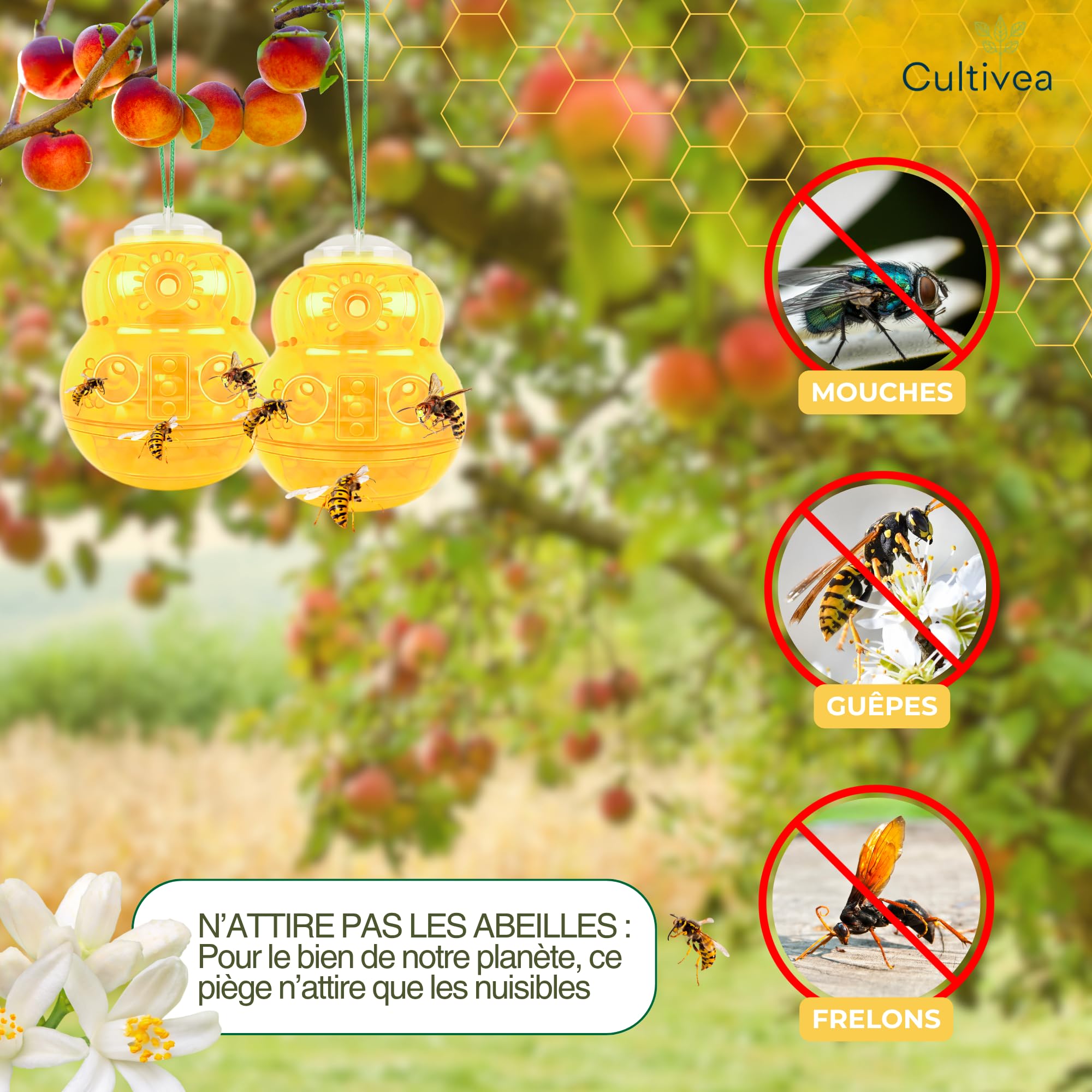 Cultivea- Lot 2 Piège à Guêpes et Frelons Extérieur Réutilisable – Attrape Guêpe Naturel sans Danger pour Abeilles – Double Système d’Attraction – Piège à Frelons Asiatiques Efficace (Jaune)