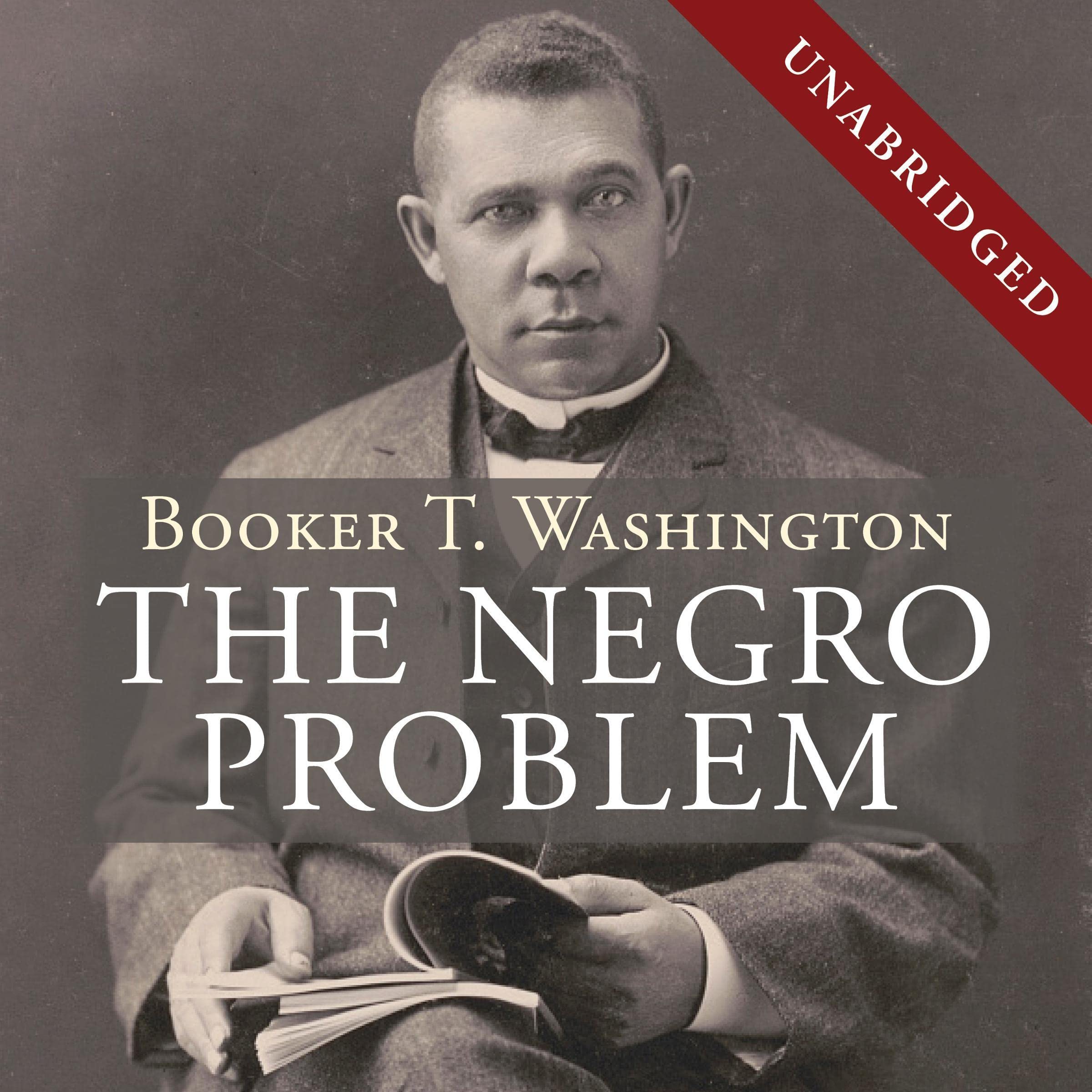 The Negro Problem