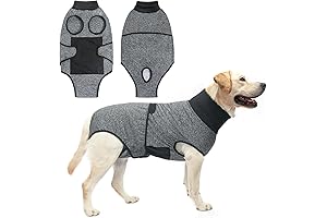 BEAUTYZOO Dog Recovery Suit for Post Surgery