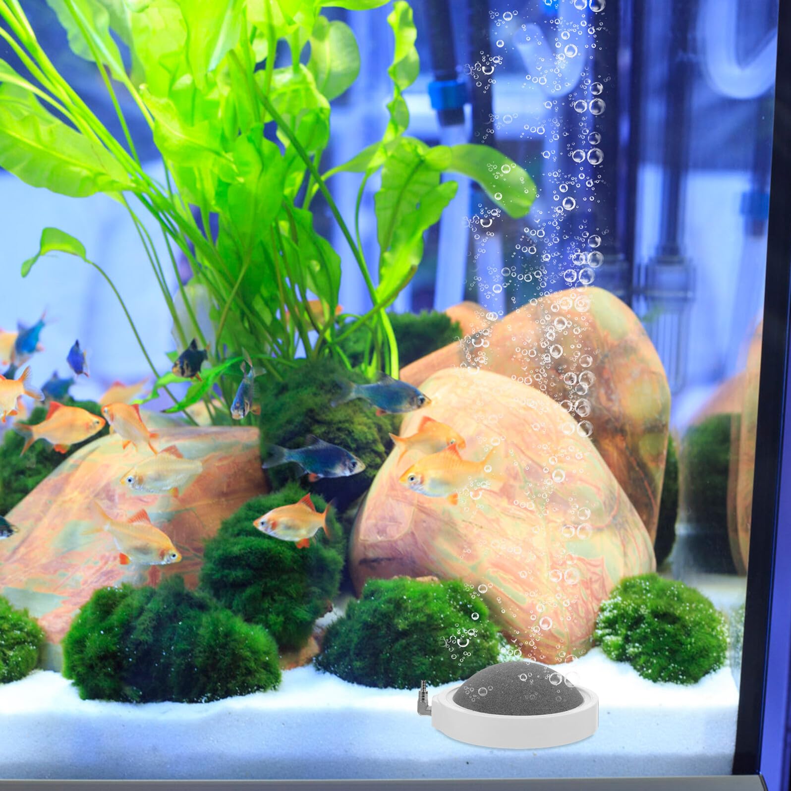 Abaodam 2 Stück Luftstein für Aquarium aus Nanomaterial mit Gleichmäßiger Blasenausgabe zur Erhöhung des Sauerstoffgehalts für Heim Aquarien und Hydroponik Nährstoffbehälter