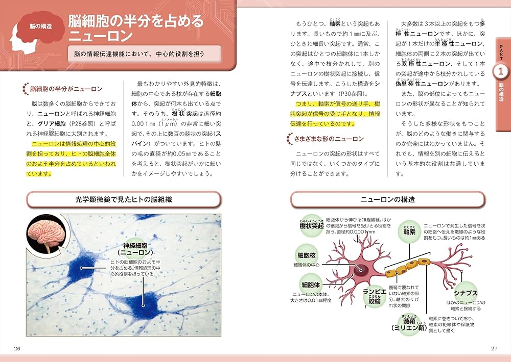 脳と心の正体 脳と心の正体 (1977年) | ワイルダー・ペンフィールド, 塚田