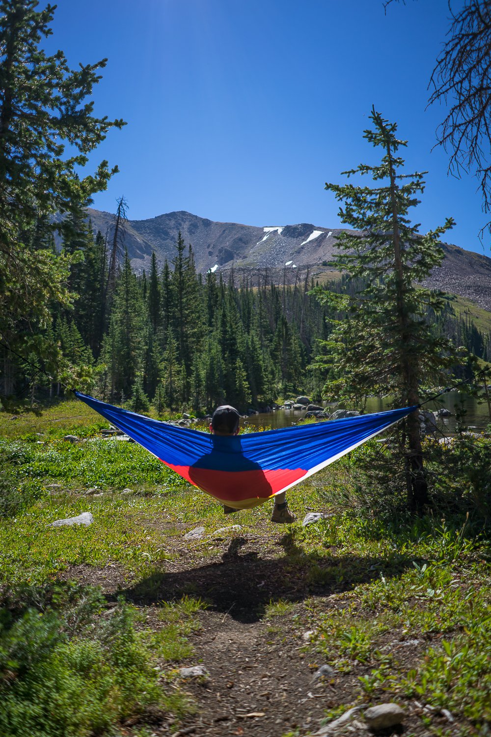 Really Living Colorado Flag Two Person Hammock