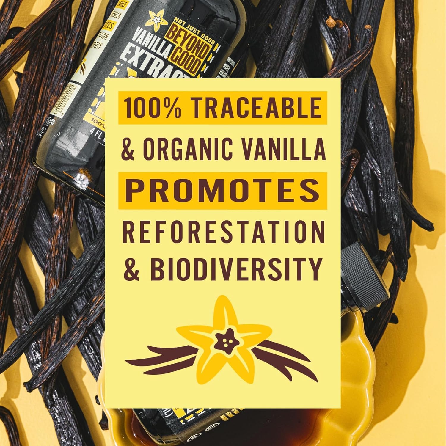 Beyond Good Bourbon Vanilla Pure Vanilla Extract, 8 FZ | Grocery