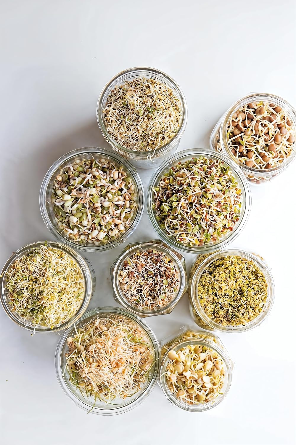 Plastic Sprout Maker - Grow Healthy Sprouts! -6 Plastic Sprout Maker - Grow Healthy Sprouts! -6