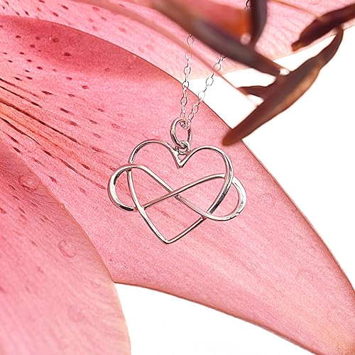 Miniatura 6 de Infinity Heart Necklace| Gift for Aunt, Niece, or Loved Ones| 925 Sterling Silver Necklace for Women|18" Chain |22mm x 22mm Charm