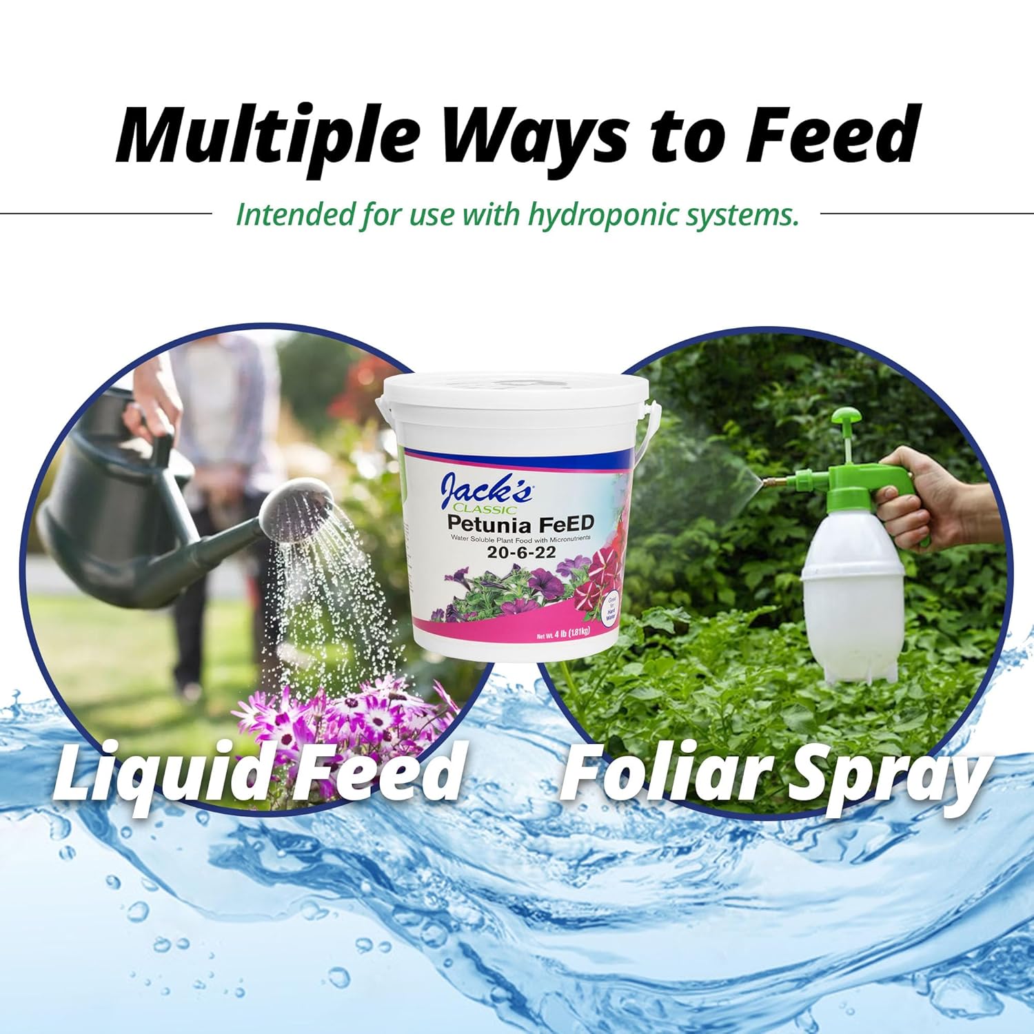 Jack's Classic 20-6-22 Petunia Feed Water-Soluble Fertilizer with Micronutrients, 4lbs - Provides Lush Green Annuals