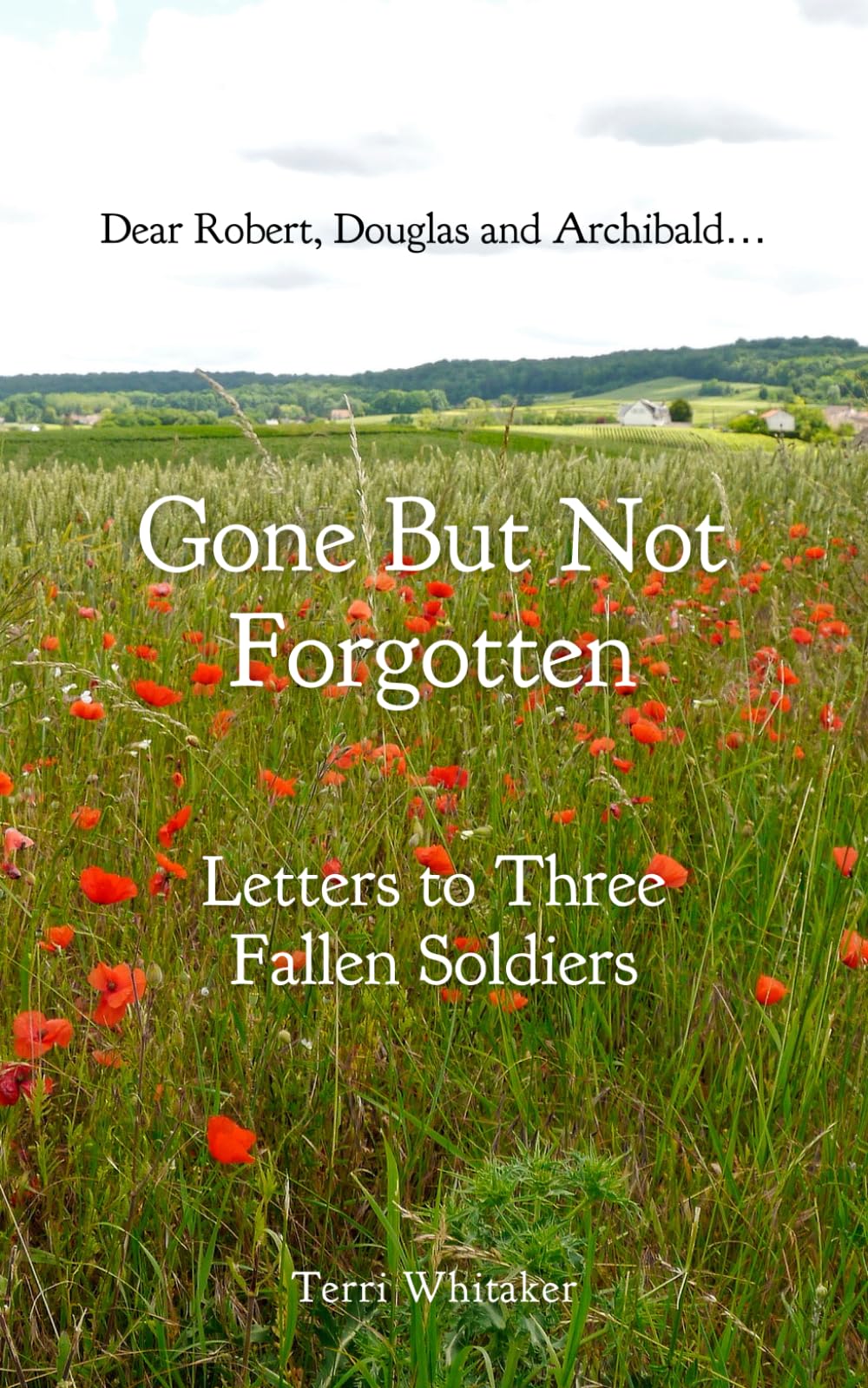 Gone But Not Forgotten: Letters to Three Fallen Soldiers