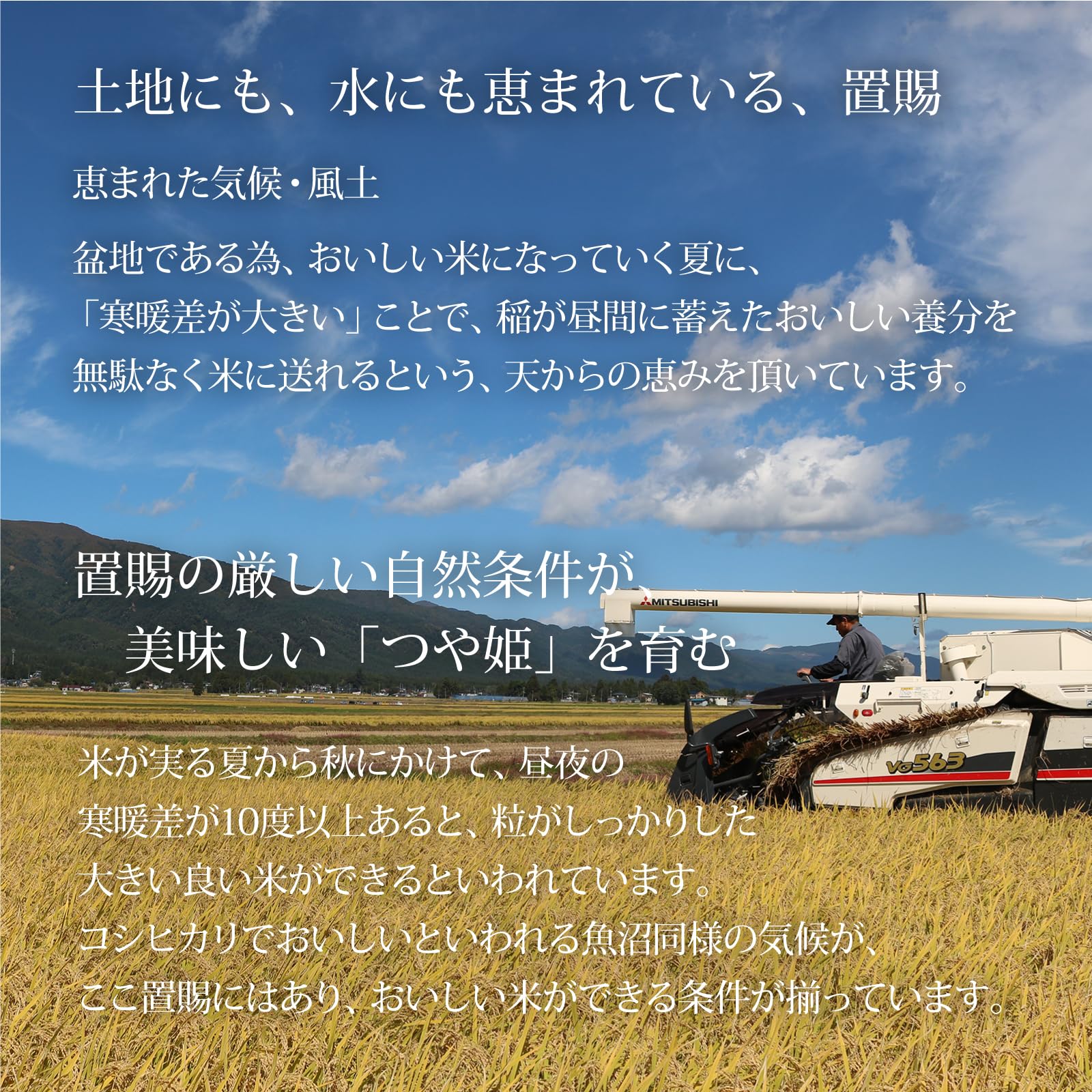 Amazon.co.jp: ミツハシ 【精米】 山形県産 特別栽培米 つや姫 マイ