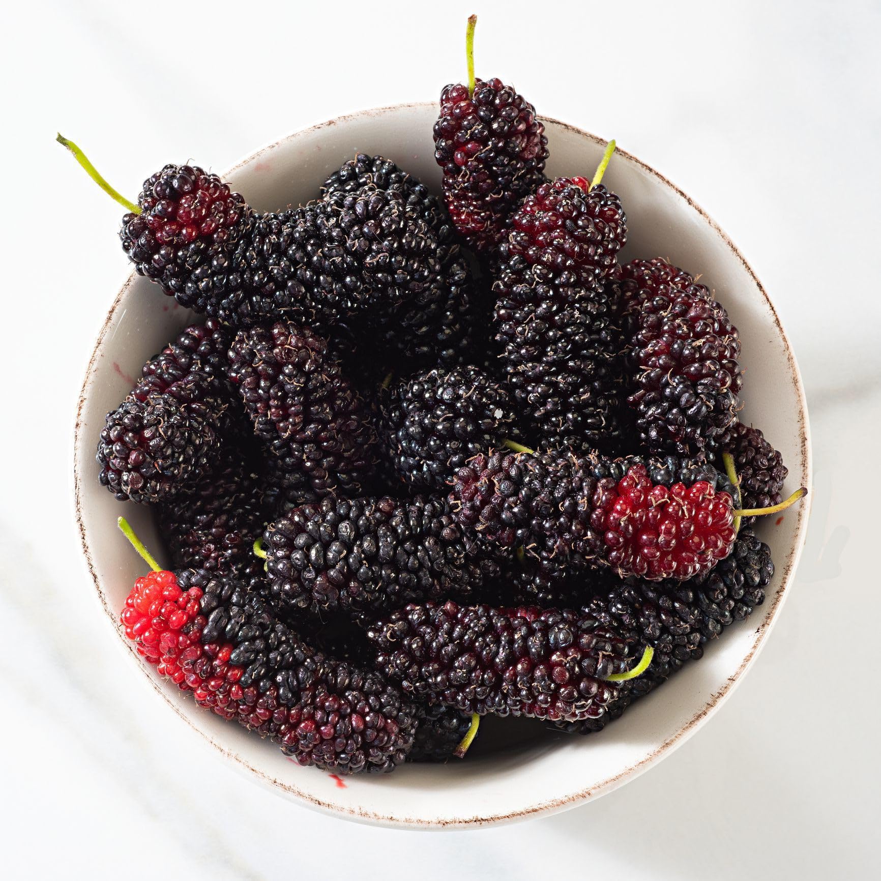 Heaven Of Saplings Shahtoot/Mulberry Plant Hybrid (Pack Of 1) MQ-985 (B0CGQRRVBH) Amazon Price History, Amazon Price Tracker