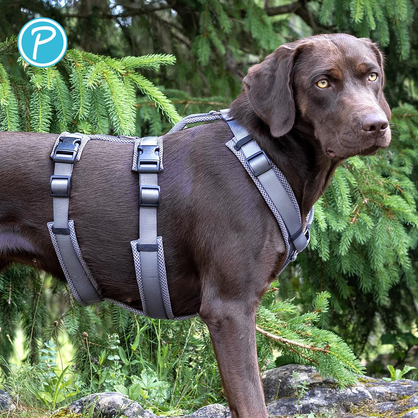 Petlando Sicherheitsgeschirr, ausbruchsicheres Hundegeschirr mit extra Bauchgurt, weich gepolstert mit Mesh, atmungsaktiv, robust, stufenlos verstellbar, Geschirr für große Hunde, Schwarz, L