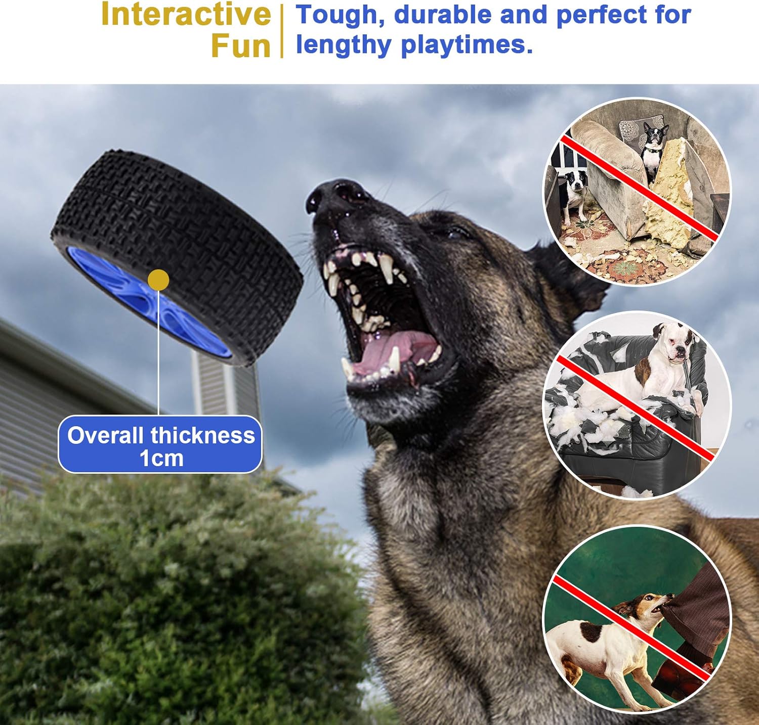 Why Shock Collars are a Bad Idea for Canine Aggression - USA Dog Behavior,  LLC