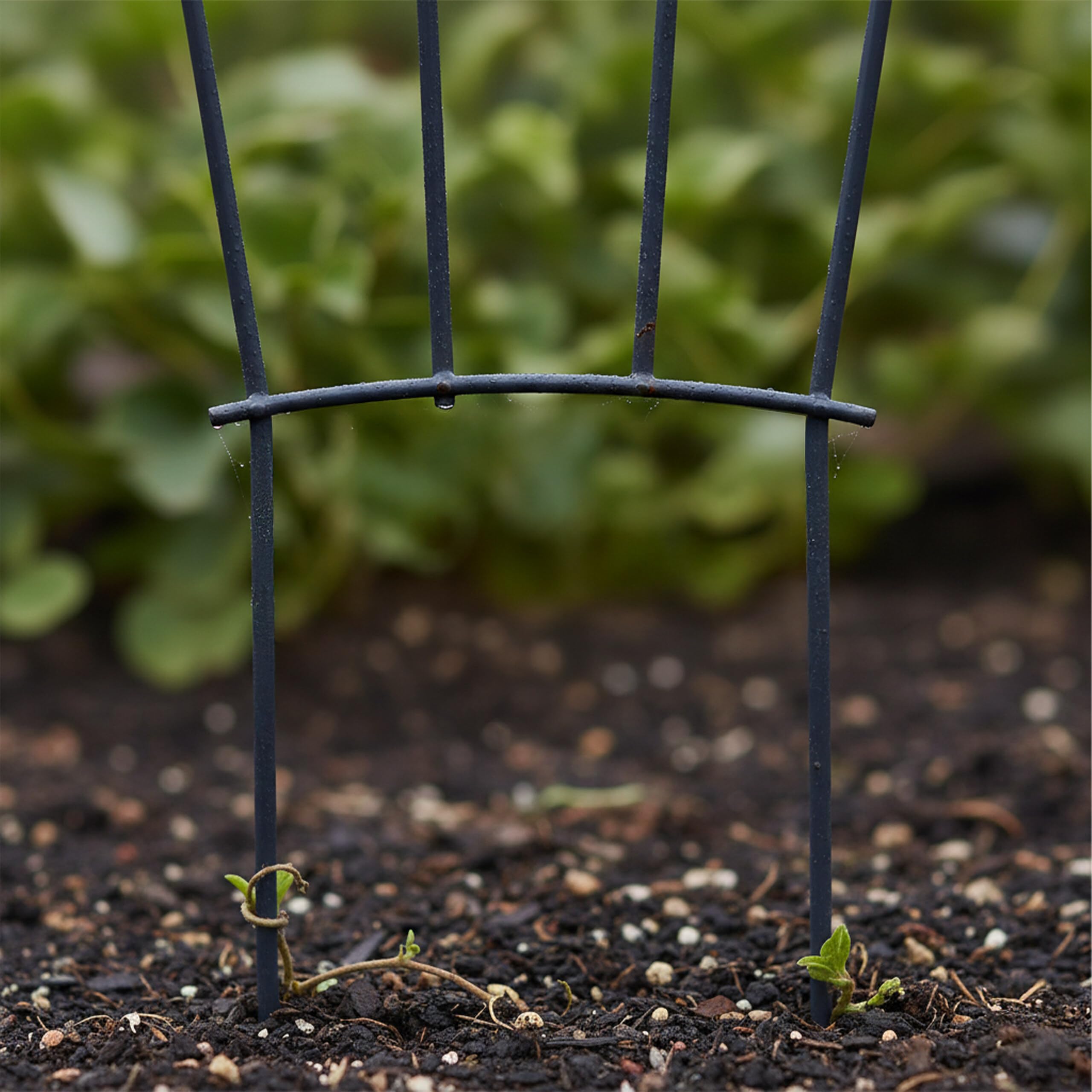 Relaxdays Tuteur en métal, Lot de 4, Treillis pour Plantes grimpantes, Pots et bacs, 82 x 31 cm, Noir
