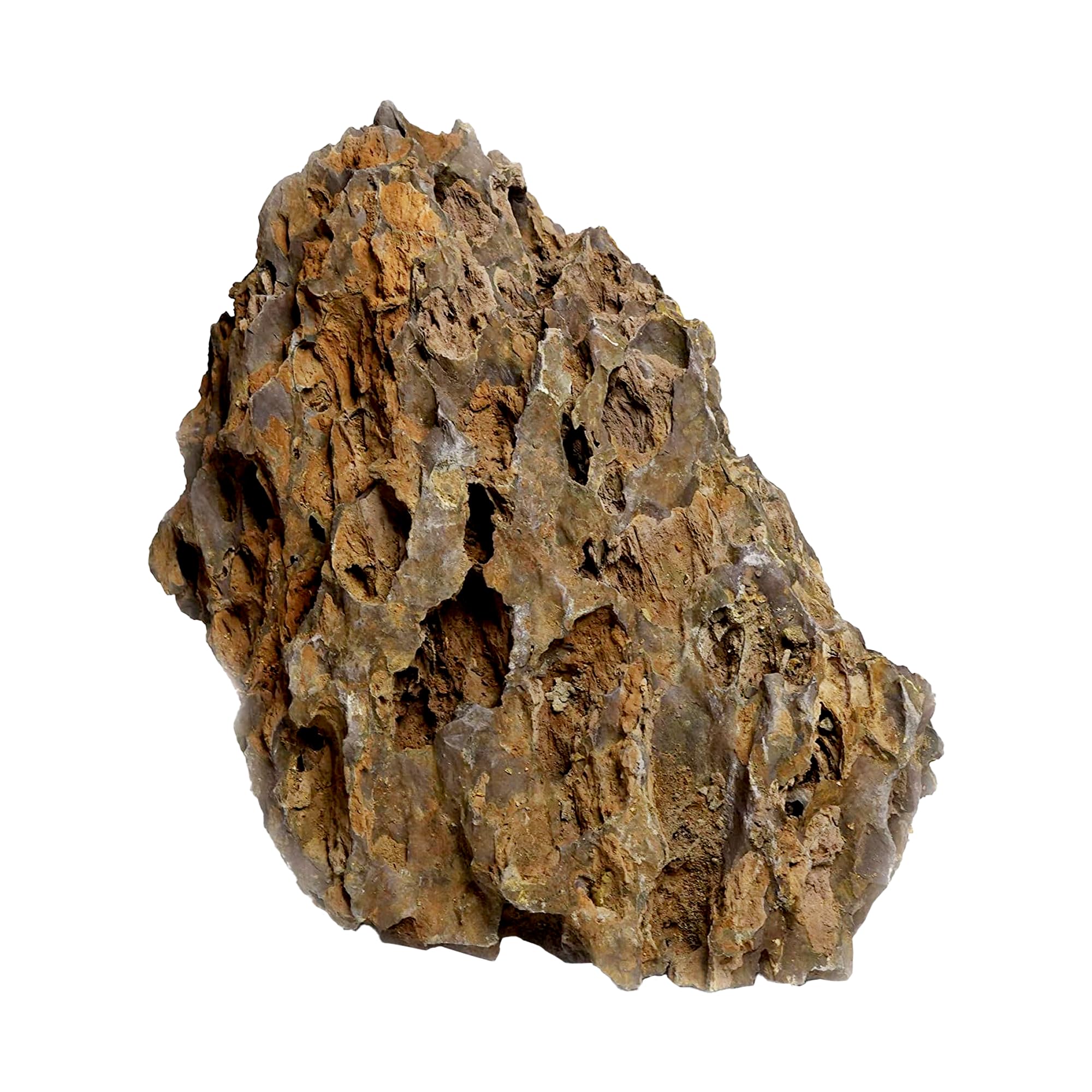 Exotica Drachenstein, Süßwassergestein, 11,3 kg