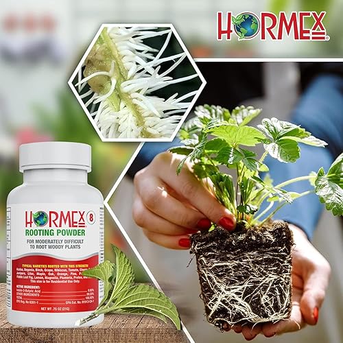 Miniatura 7 de Hormex Cubos de enraizamiento - Clon hidropónico y arrancador de semillas - Tapones de turba y coco - Ingredientes orgánicos para enraizar plantas