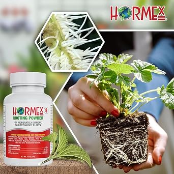 Hormex Rooting Powder #8 & Rooting Cubes Combo - Rooting Hormone for Semi-Hardwood Cuttings & Organic Peat Moss Coco Plugs - Fast, Healthy Root Growth for Propagation, Hydroponics, Seed Starting