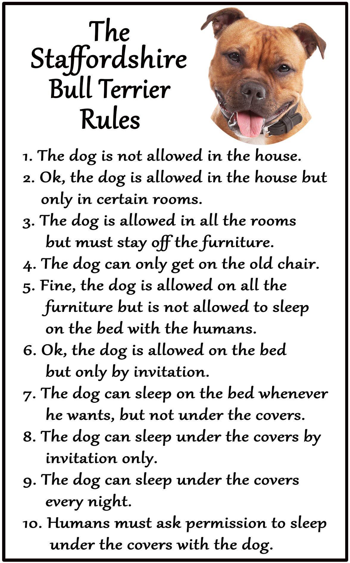 Fridge Magnets Red Staffordshire Bull Terrier (Red) Gift - House Rules - Large Fun Flexible Size 16Cms X 10 Cms (Approx. 6" X4")