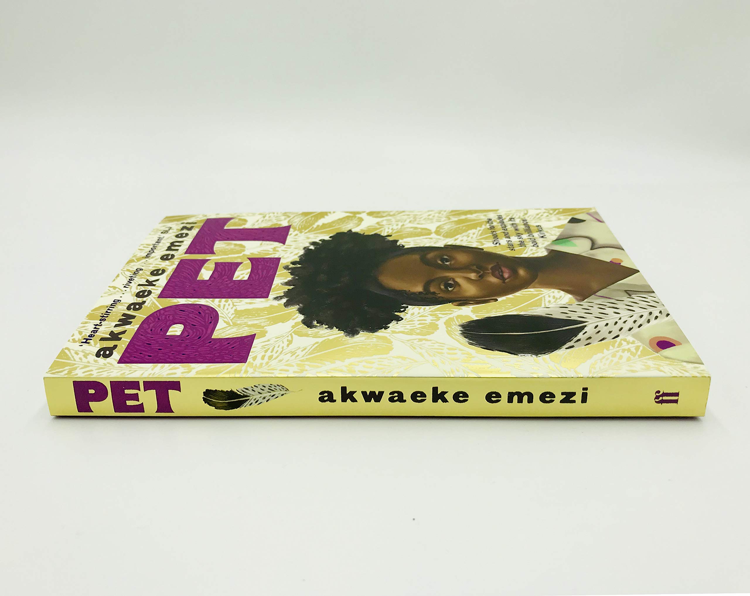 Pet: The award-winning speculative YA from the Sunday Times bestseller 1
