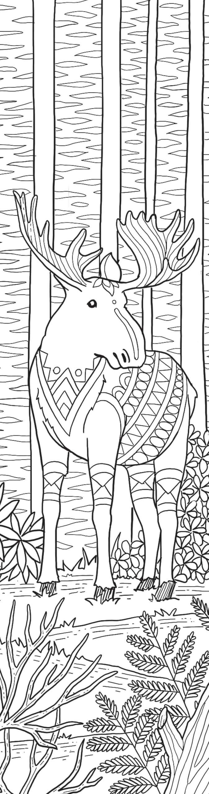 Animals Coloring Bookmarks