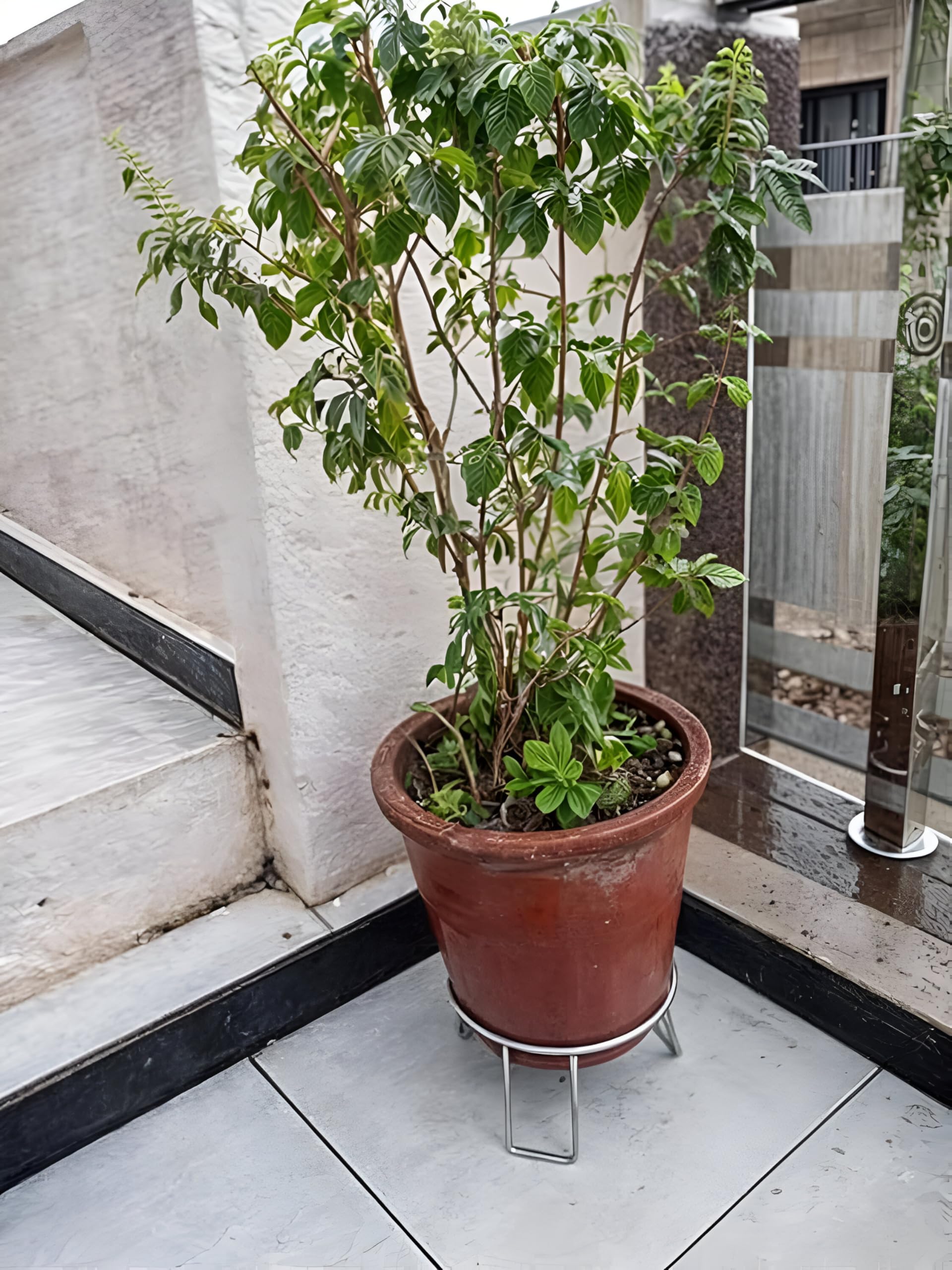 Stainless Steel Matka Stand - Display Pots & Plants -2