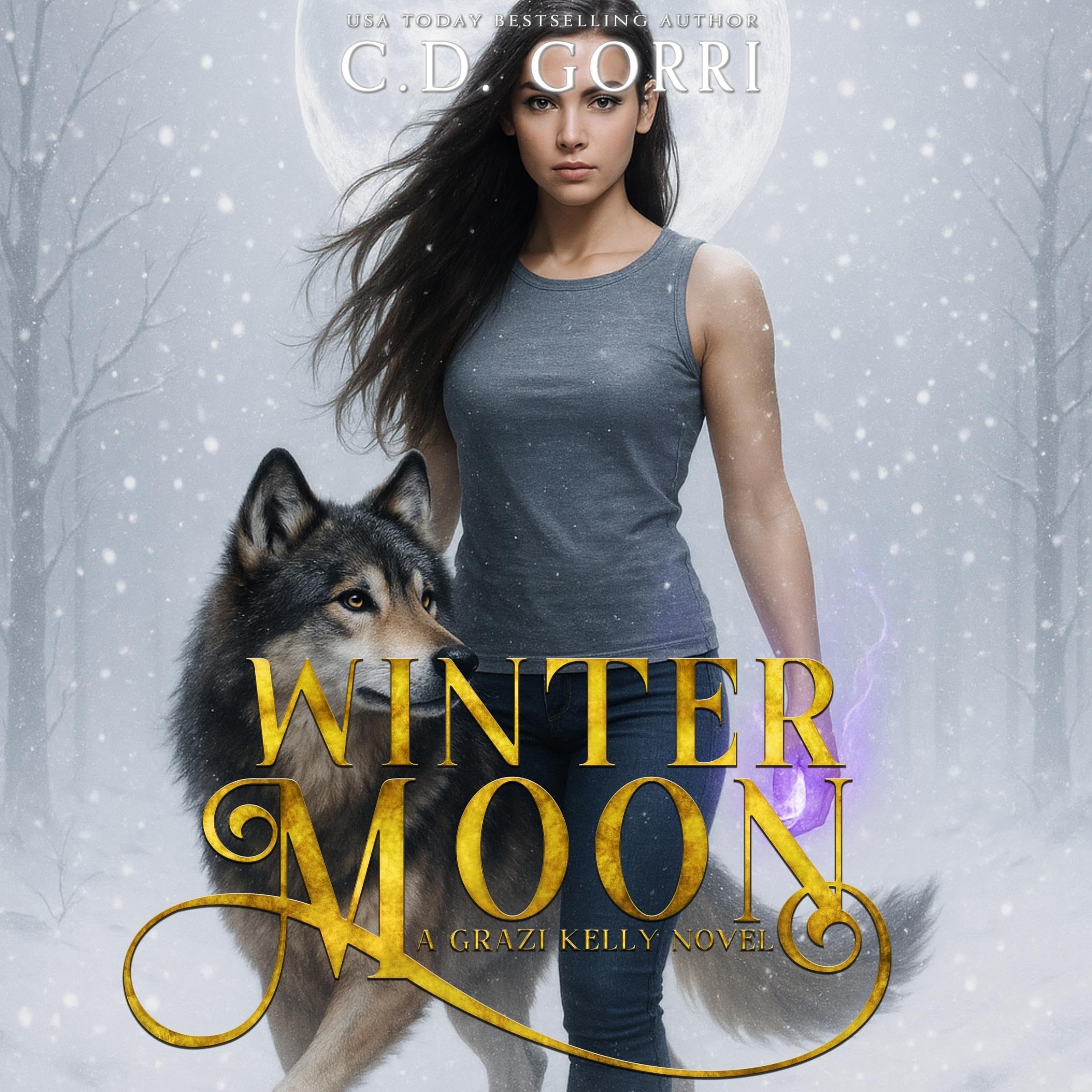 Cover art for Winter Moon