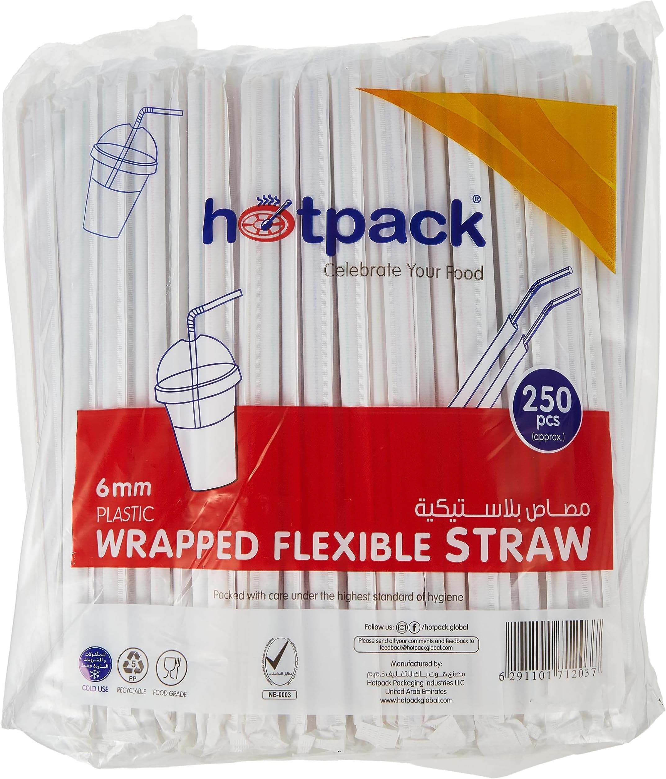 Hotpack Disposable Wrapped Plastic Drinking Straws - 6mm, 250 Pcs (Straww)